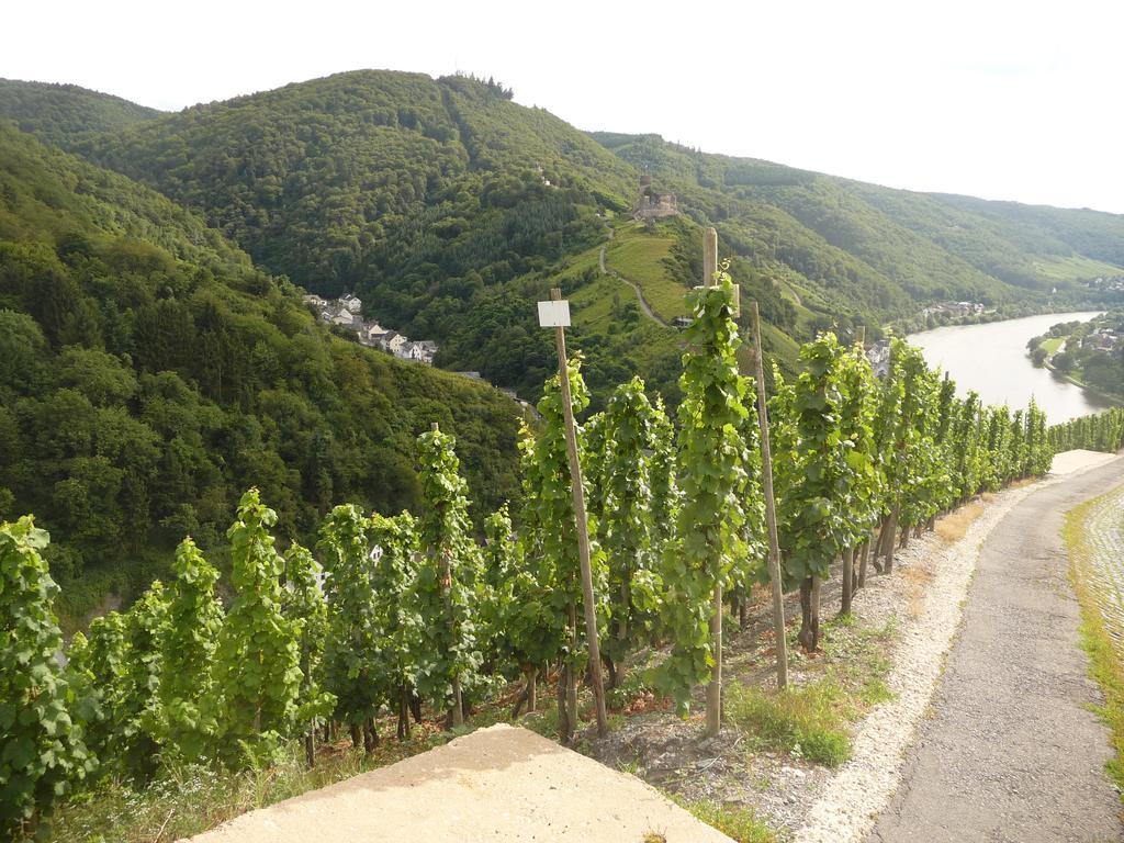 Gaestehaus Ehses Bernkastel-Kues Exterior photo